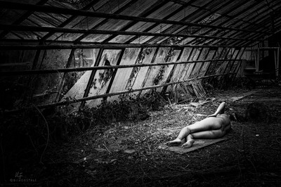 the inner light... / Nude / konzeptionell,nude,woman,lost,lostplace,Gewächshaus,sw