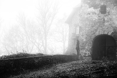 where...? / Konzeptionell / bnwmood,bnwart,castle,foggyday,mystery