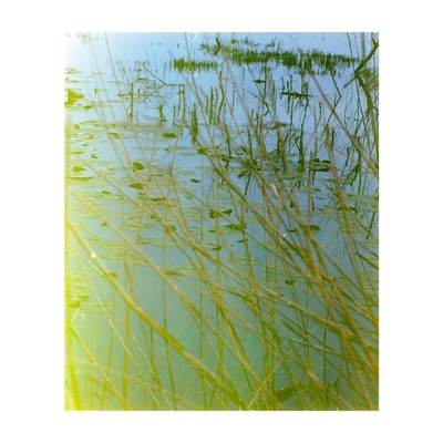 Lake 6 / Fine Art / filmohotography