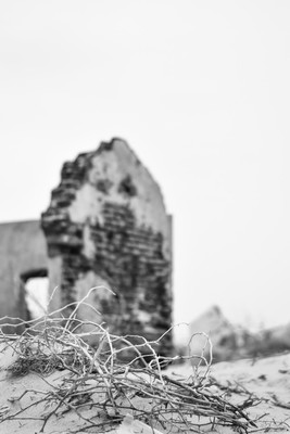 Life with thorns / Lost places / ruins,abandonedplaces,traveldiary,india,blackandwhite