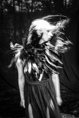 Zwischenflug II. / Fine Art