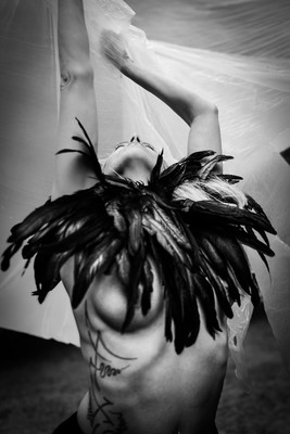 » #2/4 « / Birds / Blog-Beitrag von <a href="https://strkng.com/de/fotograf/thomas+gerwers/">Fotograf Thomas Gerwers</a> / 06.06.2025 13:40