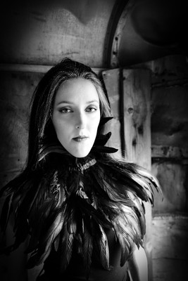 » #4/4 « / Birds / Blog-Beitrag von <a href="https://strkng.com/de/fotograf/thomas+gerwers/">Fotograf Thomas Gerwers</a> / 06.06.2025 13:40