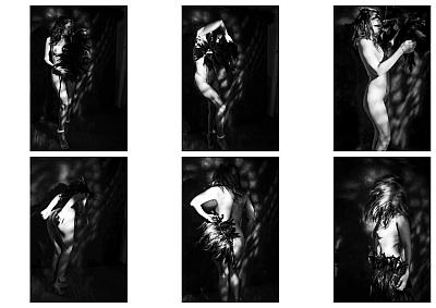 Entangled Shadows - Blog-Beitrag von Fotograf Thomas Gerwers / 30.08.2025 11:54