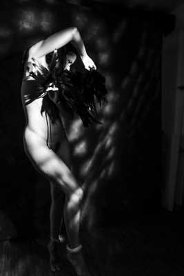 Entangled Shadow II. / Nude