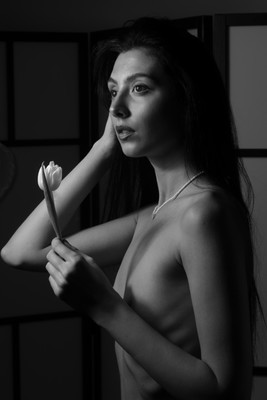 look ahead / Portrait / portrait,nude,stimmungen,diefotolounge,tulpe,blume