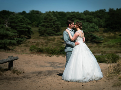 Kein Blick für die Natur / Hochzeit / Wedding,hochzeit,sand,heide,westrup