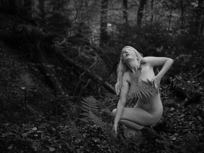 Farn / Stimmungen / stimmungen,nude,schwarz-weiss,farnkraut,wald