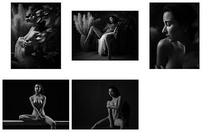 Runa monochrom - Blog-Beitrag von Fotograf Andreas Ebner / 27.08.2025 22:46