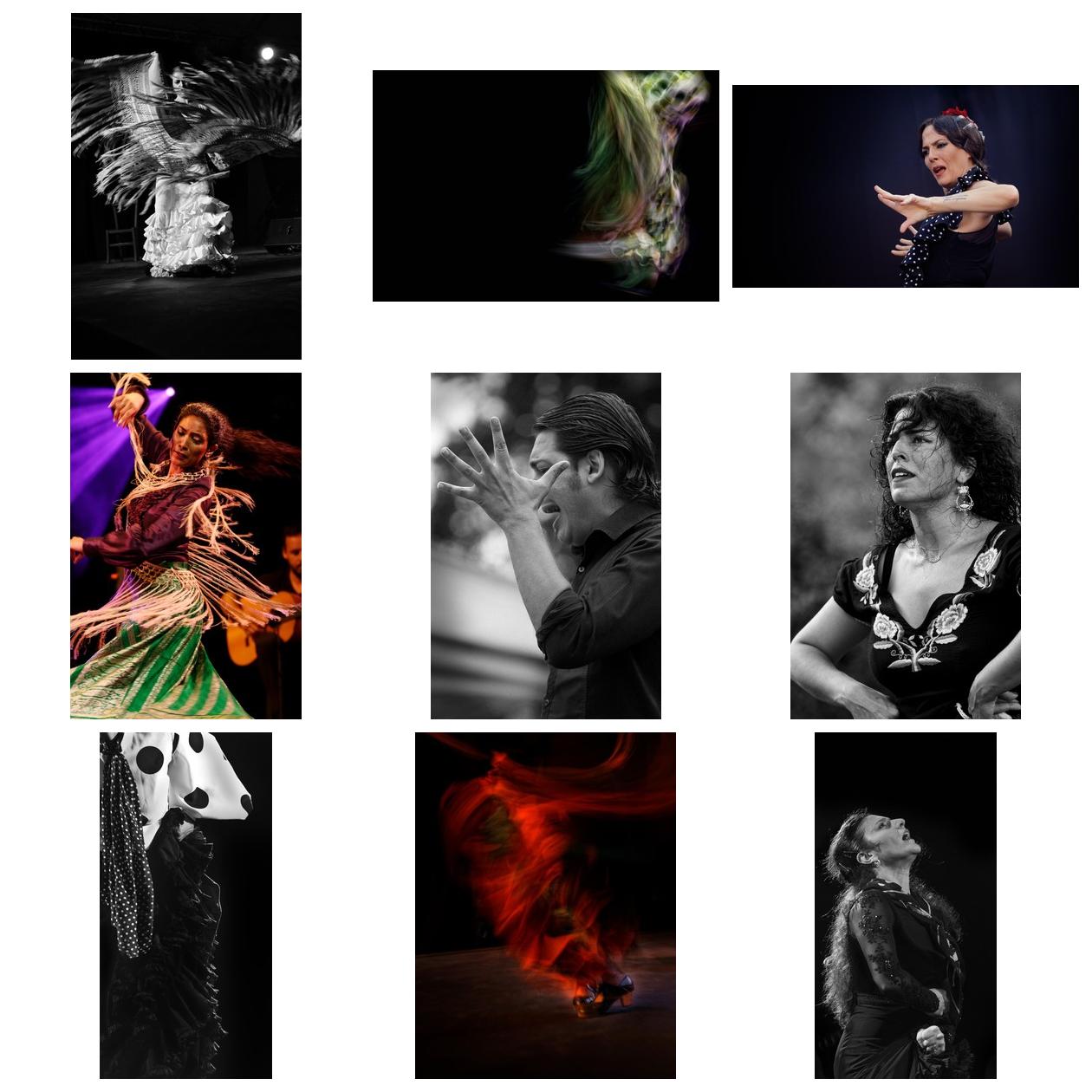 Arte Flamenco Festival - Blog-Beitrag von Fotograf surman christophe / 17.01.2021 00:34