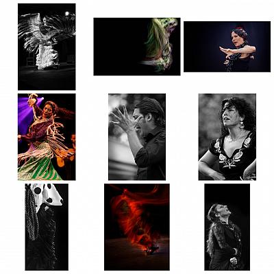 Arte Flamenco Festival - Blog post by Photographer surman christophe / 2021-01-17 00:34