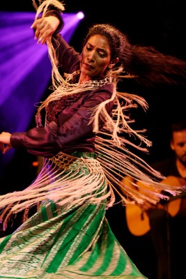 » #4/9 « / Arte Flamenco Festival / Blog post by <a href="https://strkng.com/en/photographer/surman+christophe/">Photographer surman christophe</a> / 2021-01-17 00:34 / Performance