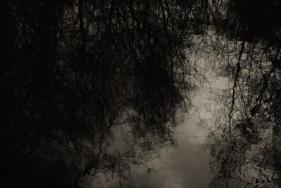 eau stagnante 1 / Schwarz-weiss / water,sad,black & white,reflects,trees