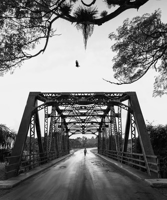 The bridge  / Landscapes