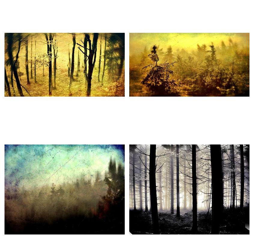 &quot;Dark forest&quot; &copy; Fotograf Mariusz Janoszek
