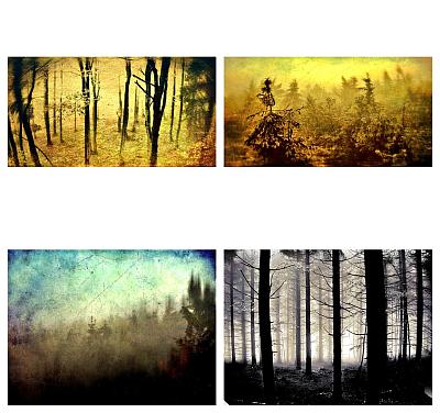 &quot;Dark forest&quot; - Blog-Beitrag von Fotograf Mariusz Janoszek / 02.07.2021 20:10