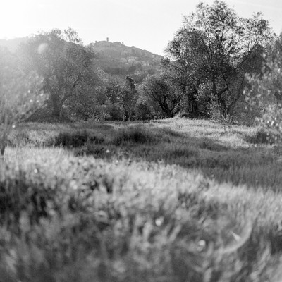 Tuscan morning. Landscape, 2022. / Landscapes / tuscany,120 film,morning mood,monochrome,landscape,travel photography