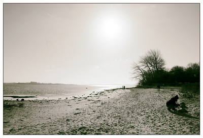 Ins Gegenlicht / Wasserlandschaften / fotokunst,meer,strand,strandläufer,monochrom,ostsee,flensburgerförde,x100f,heimat,reflexion