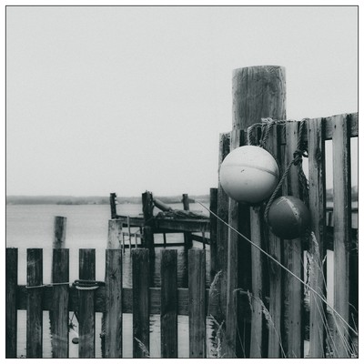 Nahe Kolding / Schwarz-weiss / Schwarzweiß,Dänemark,Fineart,Fuji,Meer,Ostsee,Wknter