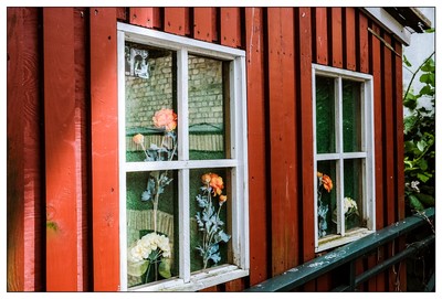 Fensterbild mit Rosen / Street / Flensburg,Fensterbild,Rosen,Spiegelung,Hof