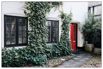 Rote Eingangstür  / Street / Tür,Eingangstür,Flensburg,Hof,Efeu,Rot