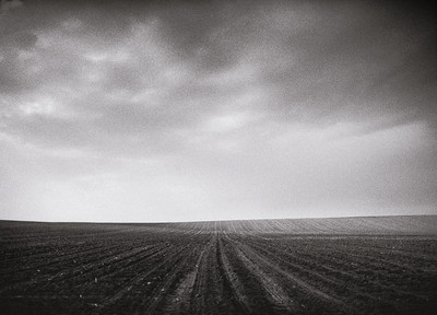 No. 1 / Landscapes / rural,landscape