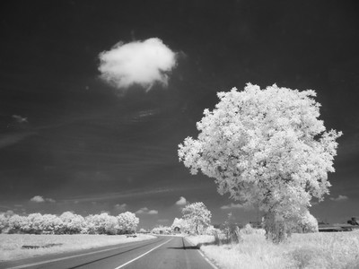 » #2/7 « / Infrared / Blog post by <a href="https://strkng.com/en/photographer/gian+luca+colombo/">Photographer Gian Luca Colombo</a> / 2021-04-14 11:28