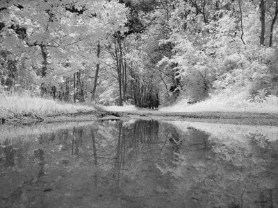 » #7/7 « / Infrared / Blog post by <a href="https://strkng.com/en/photographer/gian+luca+colombo/">Photographer Gian Luca Colombo</a> / 2021-04-14 11:28