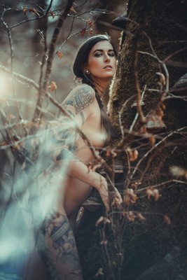 Deep in the Woods_1 / Fine Art