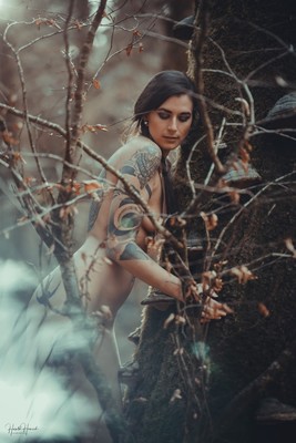 deep in the woods_3 / Fine Art