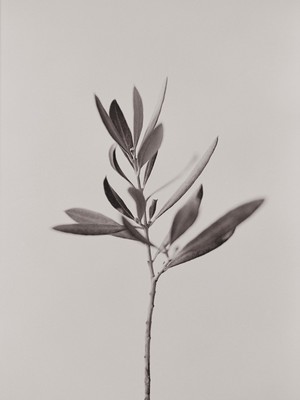 » #3/3 « / Spring 2022 – First Collection / Blog-Beitrag von <a href="https://strkng.com/de/fotograf/rudolf+horaczek/">Fotograf Rudolf Horaczek</a> / 23.06.2022 13:34 / Still-Leben