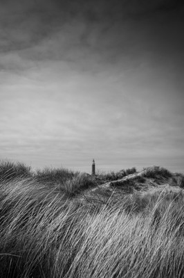 Verstecktes Feuer / Landscapes / landscape,landscapephotography,texel,lighthouse,sun,travel,grass