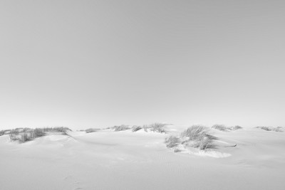 Vom Winde verweht / Landscapes / landscape,landscapephotography,texel,travel,minimalism,sand,beach,blackandwhite,blackandwhitephotography