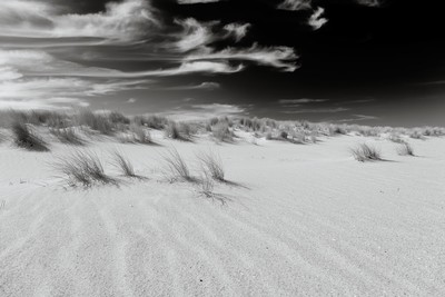 Wolken, Strandgras und Sandwellen / Natur / strand,beach,dünen,dunes,wolken,clouds