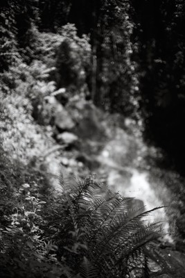 Wasserfall in der Gaulschlucht / Natur