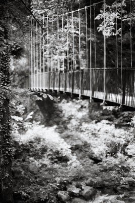 Hängebrücke über die Schlucht / Natur