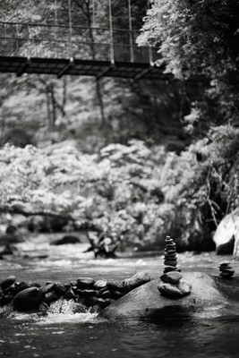 Bridge over troubled water / Natur