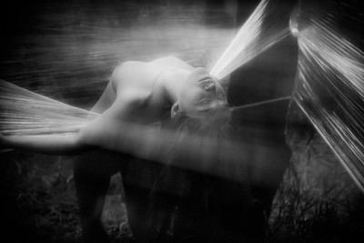 » #7/9 « / More Of The Same / Blog post by <a href="https://strkng.com/en/photographer/clint/">Photographer Clint</a> / 2024-08-23 21:27