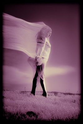 » #2/9 « / Afternoon Delight / Blog post by <a href="https://strkng.com/en/photographer/clint/">Photographer Clint</a> / 2025-08-05 02:36