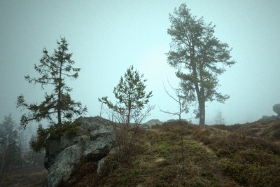 Sturmhöhe / Wuthering Heights / 2022 / Landscapes / Emily Brontë,WutheringHeights,Sturmhöhe,Nebel,Mist,Landschaft,Landscape