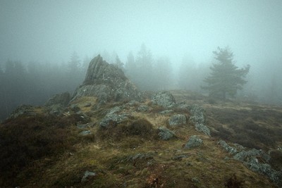 Sturmhöhe / Wuthering Heights / 2022 / Landscapes / Emily Brontë,sturmhöhe,wutheringheights,nebel,mist,fog,landschaft,landscape,mystisch