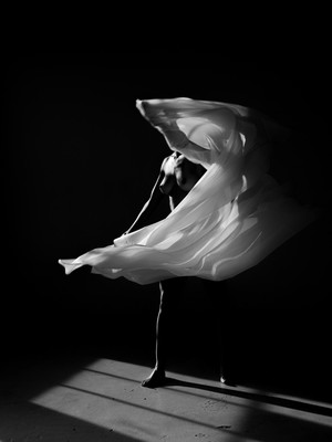 Nicole 3 / Fine Art / fineart,fineartphotography,fineartnude,fineartmodel