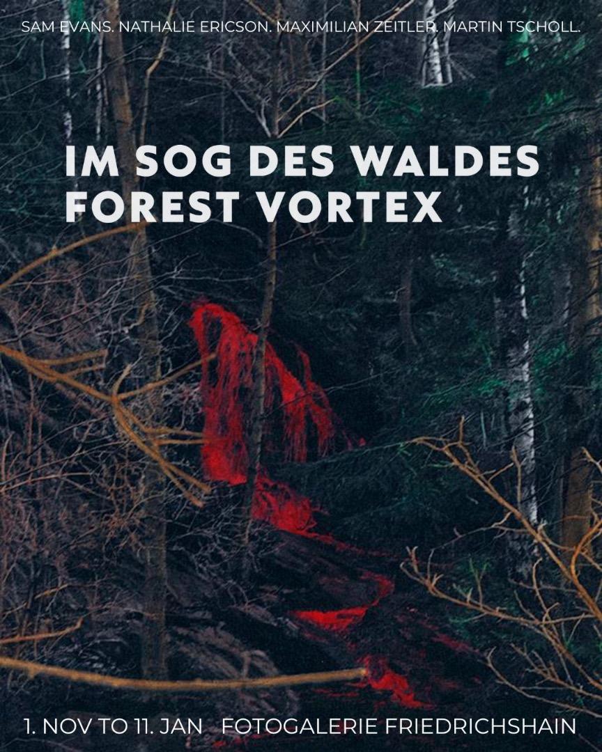 IM SOG DES WALDES - FOREST VORTEX &copy; Photographer Andreas Maria Kahn