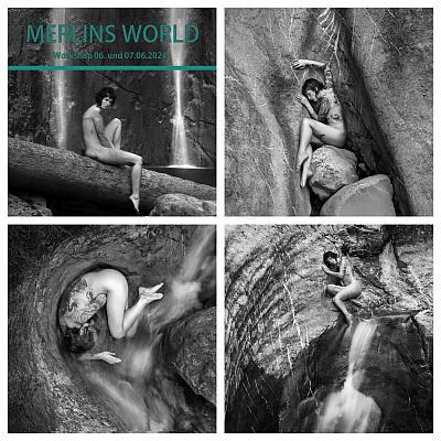 Merlins World - Event entered by Photographer Thomas Bichler / 2024-02-23 08:05