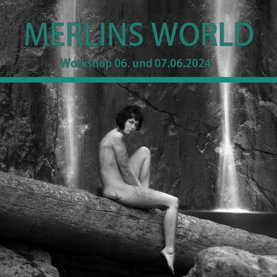 » #1/4 « / Merlins World / 