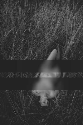 Schmetterling in der Wiese / Nude  Fotografie von Model Cassandra Klee ★2 | STRKNG