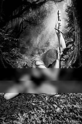 Medieval Forest Medieval Forest / Black and White photography by Photographer Curtis Joe Walker ★1 | STRKNG