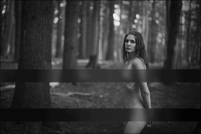 In the woods / Nude  Fotografie von Fotograf Kai Mueller ★81 | STRKNG