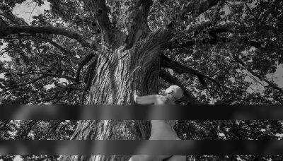 Tree of life / Nude  Fotografie von Fotografin Sabine Kristmann-Gros ★3 | STRKNG