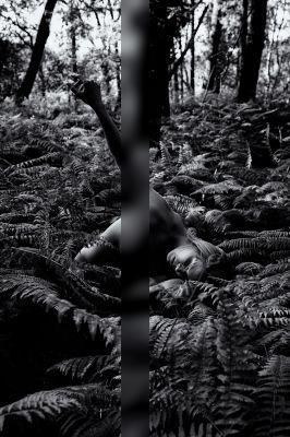 Fern / Nude  Fotografie von Fotograf ben ernst2 ★4 | STRKNG